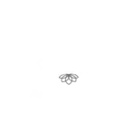 Aesthetikon